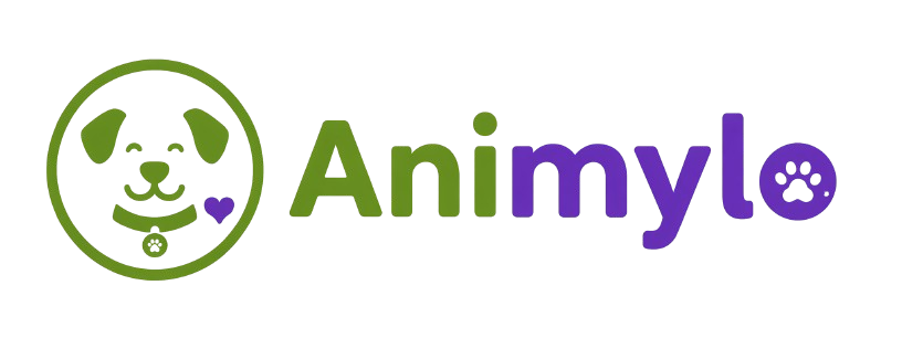 Animylo