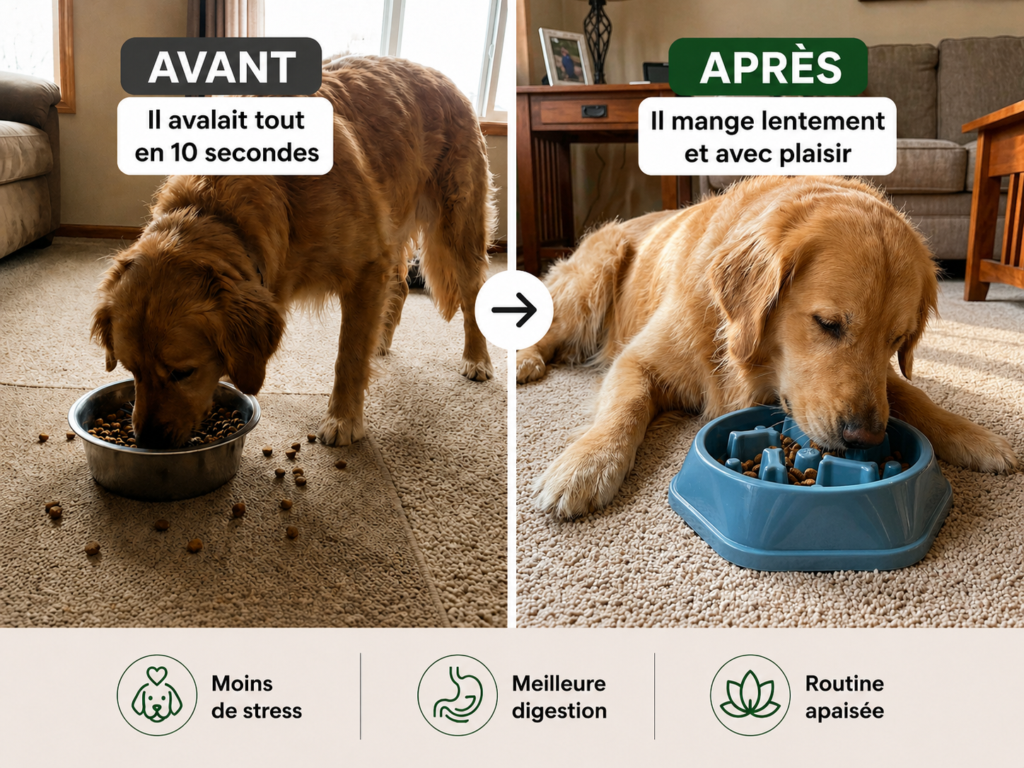 Gamelle Anti-Glouton — Protège la digestion de ton chien