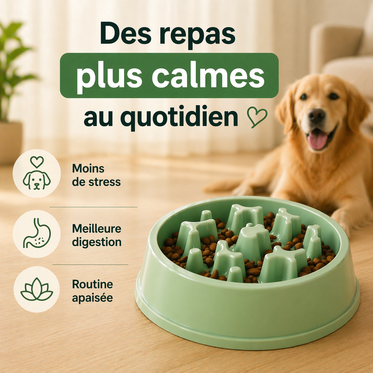 Gamelle Anti-Glouton pour Chien